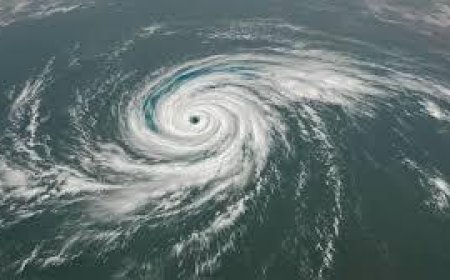 తెలంగాణలో ‘మొంథా’ తుపాన్: ప్రభుత్వం నష్టం, పునరావాసం, నష్టపరిహారం చర్యలు ప్రకటించింది