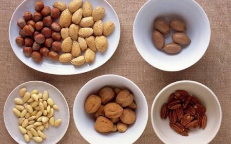 రోజూ నట్స్ తింటే పేగుల ఆరోగ్యం మెరుగవుతుంది: వైద్యుల సూచనలు