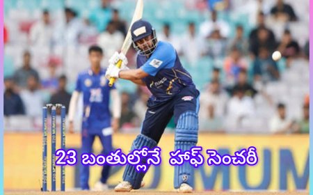 23 బంతుల్లో ఆఫ్‌ సెంచరీ! పృథ్వీ షా మళ్లీ అడరగొట్టాడు – ఐపీఎల్ వేలానికి ముందు