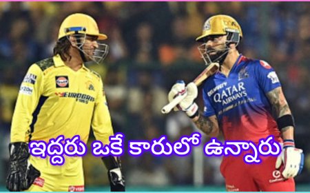 ధోని : పెళ్లి వేడుకలో ధోని చేసిన ఫన్నీ కామెంట్స్ వైరల్… విరాట్‌తో డిన్నర్ కూడా హాట్ టాపిక్!