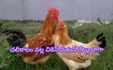 చికెన్–మటన్ రేట్లు ఒక్కసారిగా ఎగిసిపడ్డాయి