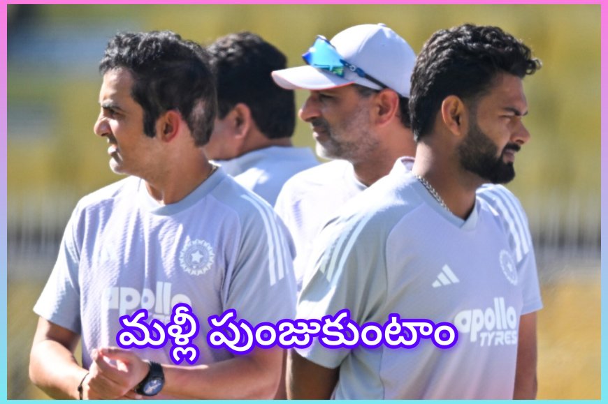 ఓటమిపై పంత్ క్షమాపణలు – మరింత దృఢంగా తిరిగివస్తామని హామీ