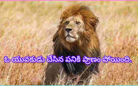 సింహం దాడి: యువకుడు ప్రాణాలు కోల్పోయిన విషాద సంఘటన