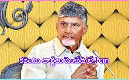 నల్లజర్లలో సీఎం చంద్రబాబు : విద్యుత్ చార్జీలు పెంచేది లేదు