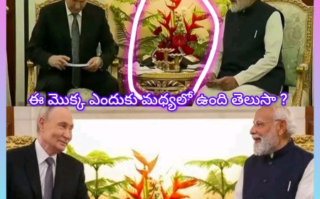 మోదీ–పుతిన్ భేటీ: మధ్యలో ఉన్న హెలికోనియా మొక్కపై ప్రపంచ దృష్టి