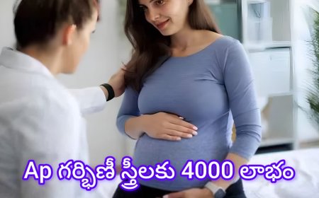 ఏపీ గర్భిణీలకు అదిరిపోయే శుభవార్త: ప్రభుత్వ ఆస్పత్రుల్లో ఉచితంగా TIFFA స్కానింగ్..