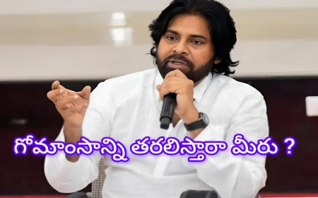 గోమాంసం అక్రమ దందాపై పవన్ కళ్యాణ్ సీరియస్: నిందితులను వదలొద్దని......
