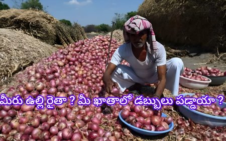 ఏపీ ఉల్లి రైతులకు భారీ ఊరట! రూ.128 కోట్ల పరిహారం నేరుగా ఖాతాల్లోకి
