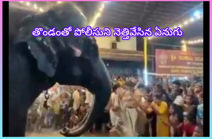 పోలీసును తొండంతో నెట్టేసిన ఏనుగు. కుక్కే సుబ్రహ్మణ్య ఆలయంలో