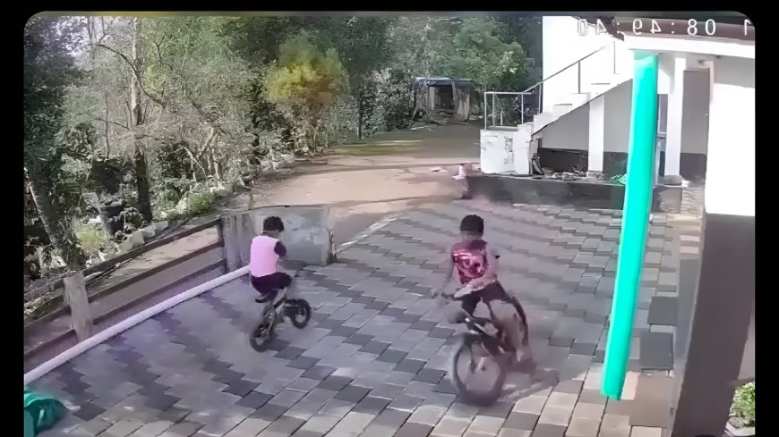 ప్రాణం కంటే తమ్ముడే ముఖ్యం.. లోయలో పడ్డ తమ్ముడి కోసం అన్న ఏం చేశాడో చూడండి