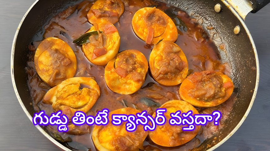 గుడ్డు తింటే క్యాన్సర్ వస్తదా ? FSSAI ఏం చెప్పిందో తెలుసా !