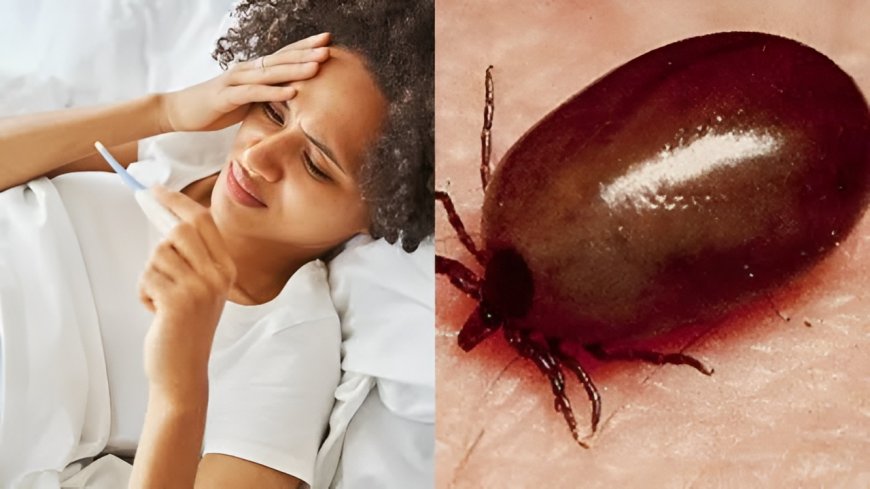 ఆంధ్రప్రదేశ్‌లో కొత్త వణుకు.. 'స్క్రబ్ టైఫస్'! వైరల్ ఫీవర్ అనుకుంటే ప్రాణాలకే ప్రమాదం!