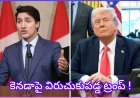 కెనడాపై ట్రంప్ తీవ్ర హెచ్చరిక: విమానాలపై 50% టారిఫ్ విధిస్తానని వార్నింగ్!