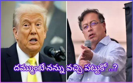 ట్రంప్ వ్యాఖ్యలకు కొలంబియా అధ్యక్షుడి సవాల్‌.... వచ్చి నన్ను పట్టుకో ...?