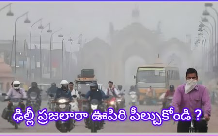 ఢిల్లీలో వాయు కాలుష్యం తగ్గిందా ! ఇప్పుడు వాయు కాలుష్యం ఎలా ఉంది.... !