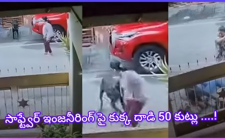 పెంపుడు కుక్క దాడి: సాఫ్ట్‌వేర్ ఇంజనీర్‌కు 50కి పైగా కుట్లు.. యజమానిపై .......?