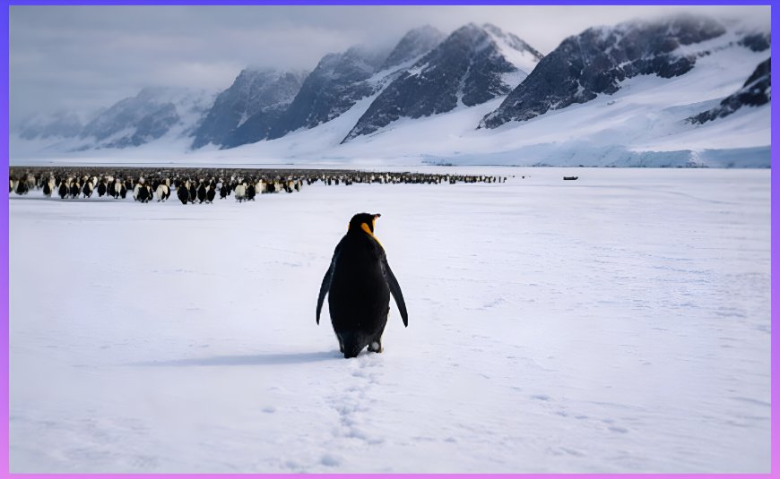 ఆ పెంగ్విన్ మంచి పర్వతాల వైపు ఎందుకు వెళ్తుంది ? 19 ఏళ్ల నాటికదా ఇది ?