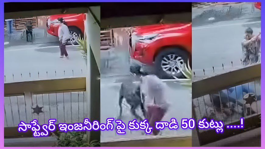పెంపుడు కుక్క దాడి: సాఫ్ట్‌వేర్ ఇంజనీర్‌కు 50కి పైగా కుట్లు.. యజమానిపై .......?
