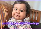 ఐదుగురికి ప్రాణదానం చేసిన 10 నెలల చిన్నారి..