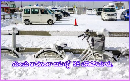జపాన్‌ను కుదిపేస్తున్న భీకర మంచు తుఫాన్…35 మంది చనిపోయారు...!