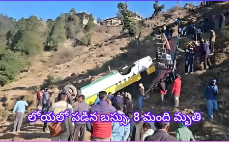 పెళ్లి వేడుకల నుంచి తిరిగివస్తుండగా ఘోర ప్రమాదం.. లోయలో పడిన బస్సు, 8 మంది మృతి
