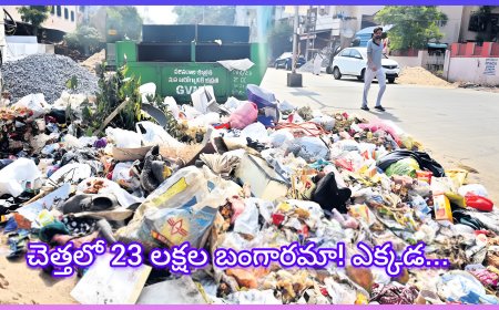 మున్సిపాలిటీ వర్కర్ కి చెత్తలో 23 లక్షల బంగారం దొరికింది. అతని ఏం చేశాడో తెలుసా..?