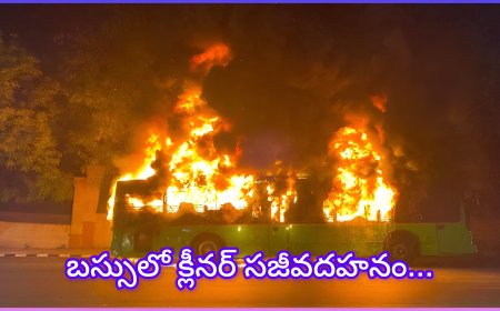 మస్కిటో కాయిల్ వల్లే బస్సు అగ్నిప్రమాదమా? ఢిల్లీలో ప్రైవేట్ బస్సు క్లీనర్ సజీవదహనం