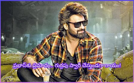 ఫౌజీ' షూటింగ్‌లో ప్రభాస్‌కు ప్రమాదం.. గుర్రపు స్వారీ చేస్తుండగా గాయం!